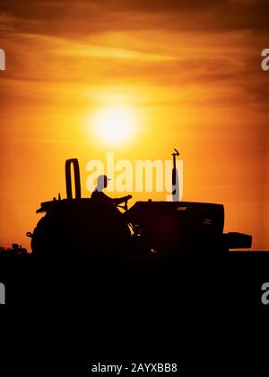 A farmer drives a tractor silhouetted by warm sunlight. Stock Photo