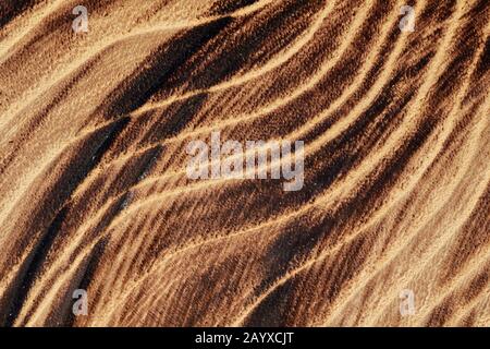 Natural wood trunk segment surface high quality texture background Stock Photo