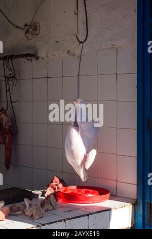 Chicken hanging at the butchers shop, enlightened by the sunlight. Traditional way of selling at the market. Essaouira, Morocco. Stock Photo
