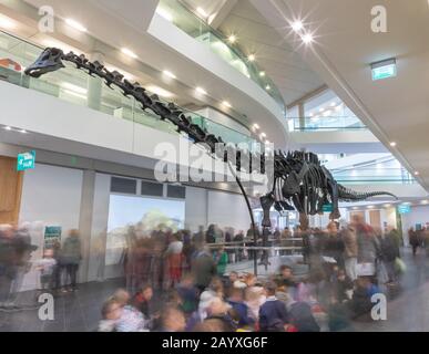 Groups of school children and members of the public view 'Dippy the Diplodocus' on tour from The Natural History Museum. Stock Photo