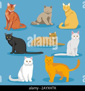 Cute cartoon kitties or cats vector set. Set of cats and cartoon illustration of domestic cat Stock Vector