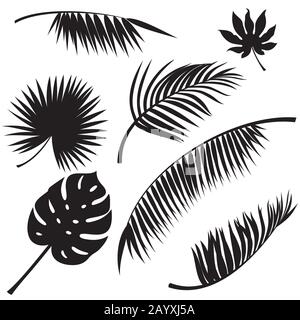 Tropical leaves black vector silhouettes on white Stock Vector