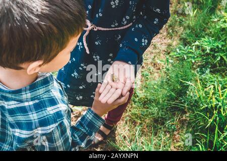 Two children, boy and girl, looking at small snail on girl's hand in the summer Stock Photo