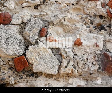 Coral, seashells, stones, and red brick embedded in block used to construct old city wall around Cartagena, Colombia Stock Photo
