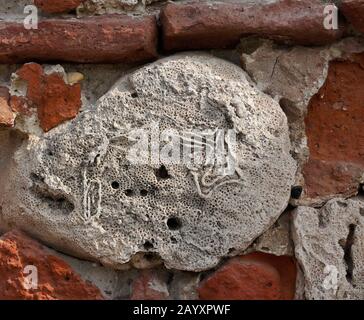 Coral, seashells, stones, and red brick embedded in block used to construct old city wall around Cartagena, Colombia Stock Photo