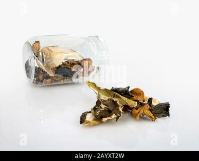 mix of dried mushrooms with jar isolated on white background Stock Photo
