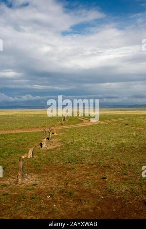 Ongot grave (Neolithic grave), in Tuul River valley, Hustai National Park, Mongolia. Stock Photo
