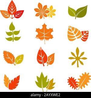 A beautiful Fall Leaf illustration vector art design Stock Vector Image ...
