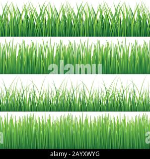Green seamless grass vector set on white background Stock Vector