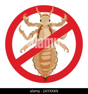 Warning louse. Sign of an insect dangerous to human health. Vector illustration. Stock Vector