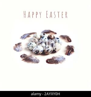 Easter card. The quail eggs, around the feathers. On a light background Stock Photo