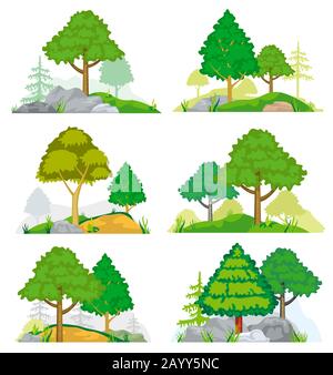 Landscapes with coniferous and deciduous trees, grass and rocks. Vector set of nature landscape with tree and rock, illustration forest tree coniferous Stock Vector
