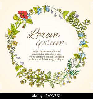 Floral frame with hand drawn wild flowers template for wedding invitation and greeting card. Flower frame template for card, wild flower wreath for wedding, vector illustration Stock Vector