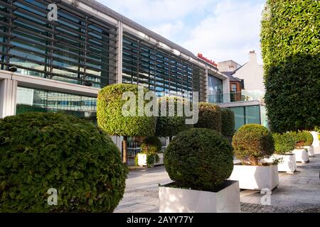 Millennium Galleries, Sheffield, South Yorkshire. Topiary hedges outside the gallery which houses metalwork displays Stock Photo
