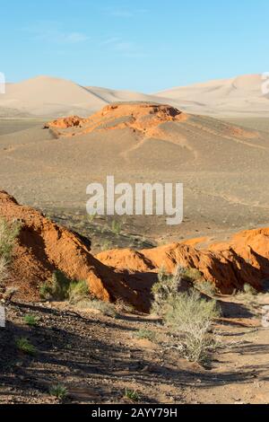 Landscape with sedimentary red rock and saxaul trees (Haloxylon ammodendron) at the Hongoryn Els sand dunes in the Gobi Desert in southern Mongolia. Stock Photo