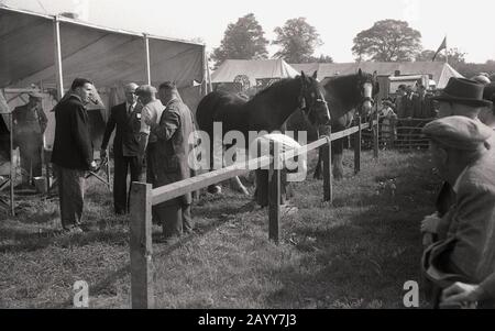 1950s, historical, at the Thame Show, visitors watching farriers and shire horses being hoofed, Thame, Oxford, England, UK. Stock Photo