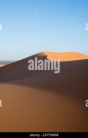 Resting Bedouin Camel Train In The Desert With The Great Pyramids Of 