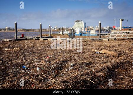 Debris and driftwood washed up on the shoreline of Cardiff Bay after Storm Dennis filled the rivers Taff and Ely Stock Photo