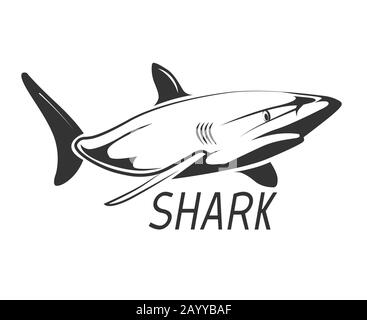 Shark logo in black isolated on white. Graphic design wild animal, vector illustration Stock Vector