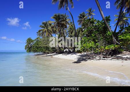 Pigeon Point Beach at Tobago Carribean Island Trinidad with clouds. Stock Photo