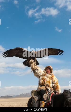A Kazakh eagle hunter showing off his golden eagle at the Golden Eagle Festival on the festival grounds near the city of Ulgii (Ölgii) in the Bayan-Ul Stock Photo