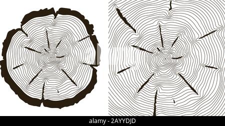 Tree growth rings, saw trunk cuts . Wooden tree rings or incision trunk of tree. Vector illustration Stock Vector