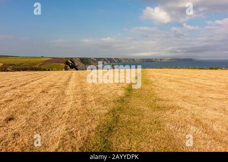 The South West Coast Path heading for Porth-cadjack Cove over the Caravannel Downs near Portreath, north Cornwall, UK. Stock Photo