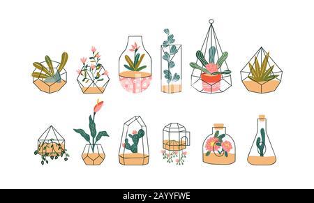 Set of cute glass terrarium with exotic tropical house plant on isolated white background. Hand drawn spring plants include cactus, rose and flower dr Stock Vector