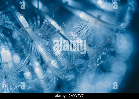 Bundle of optical fibers with lights ; background or textures Stock Photo