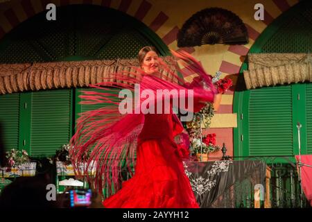 Dancers and musicians performing the Flamenco, a form of Spanish folk music and dance, during a dinner show in Seville, Andalusia, Spain. Stock Photo