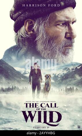 THE CALL OF THE WILD, Harrison Ford, 2020. © 20th Century Studios ...
