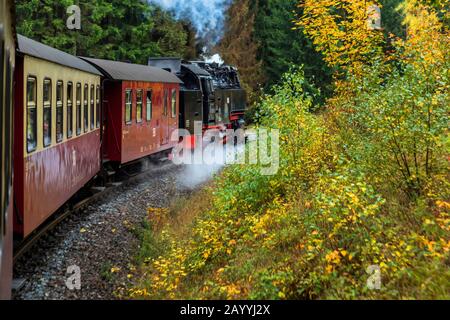 Harz Narrow Gauge Railway with destination Brocken, Germany, Lower Saxony, Harz Stock Photo