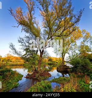 Elbsche river mouth in the Ruhr river near Wengern, Germany, North Rhine-Westphalia, Ruhr Area, Wetter/Ruhr Stock Photo