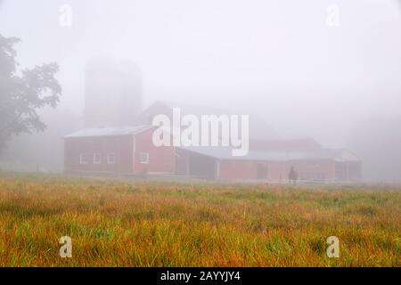 Horse farm with a red farmhouse in a foggy day Stock Photo