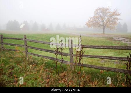 Farm barn in the foggy morning Stock Photo