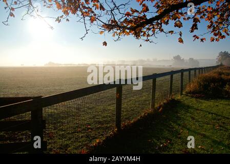 cattle ranch with fences in foreground Stock Photo