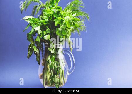 Fresh greens in jug with color background. dill and parsley bunch. green vegetables. copy space Stock Photo