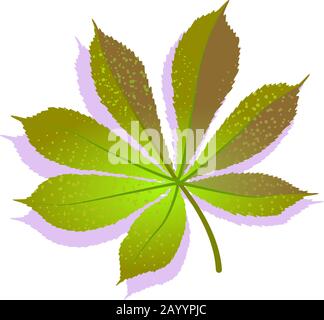 Green Chestnut leaf textured with shadow, isolated on white background. Realistic single nature icon, ecology symbol flat element. Stock vector illustration. logo design. Stock Vector