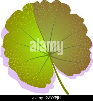 Green geranium round leaf textured with shadow, isolated on white background. Realistic single nature icon, ecology symbol flat element. Stock vector illustration. logo design. Stock Vector