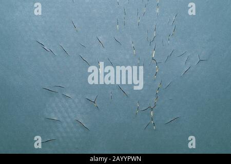 Rubber texture with cracks and scratches close up Stock Photo