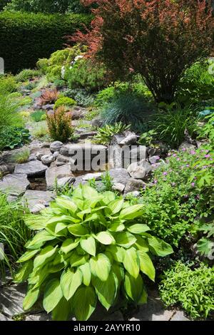 Rock edged border with Hosta, pond and burgundy Berberis - Barberry shrub in landscaped backyard garden in late spring Stock Photo