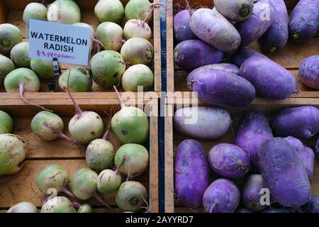 Crate of giant green and white watermelon winter radishes at a  farmers market Stock Photo