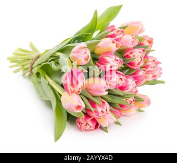 Beautiful fresh spring tulips bouquet isolated on white background