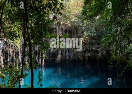 Yokdzonot cenote swimming sinkhole in Yucatan peninsula, Mexico Stock Photo