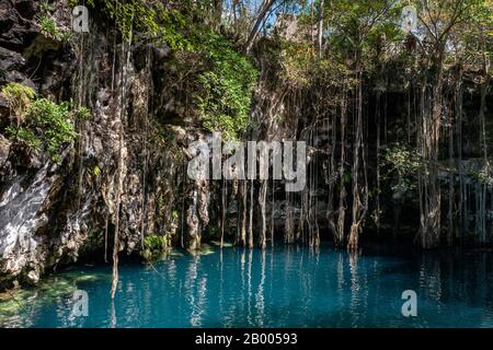 Yokdzonot cenote swimming sinkhole in Yucatan peninsula, Mexico Stock Photo