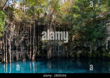 Yokdzonot cenote swimming sinkhole in Yucatan peninsula, Mexico Stock Photo