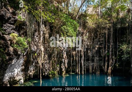 Yokdzonot cenote swimming sinkhole in Yucatan peninsula, Mexico Stock Photo