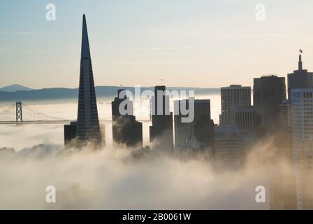 San Francisco as Early Morning Fog Rolls In Stock Photo