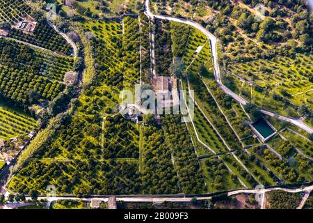 Aerial view, finca in the mountains, olive grove, olive trees, olives, L'Horta district, Sóller, Europe, Balearic Islands, Spain, ES, Espana, holiday Stock Photo