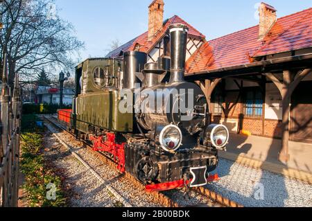 Wroclaw, Poland, February 2020. Railway museum. The former narrow-gauge railway station Wroclaw-Trzebnica-Prussia. And steam locomotive 600mm - Tx2 35 Stock Photo